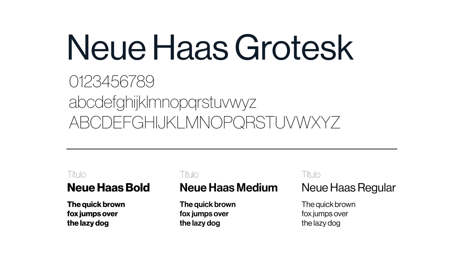 Neue Haas Grotesk, a tipografia institucional